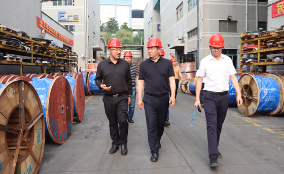 應(yīng)急管理部四川消防研究所、東莞市質(zhì)檢中心一行蒞臨民興電纜調(diào)研指導(dǎo)